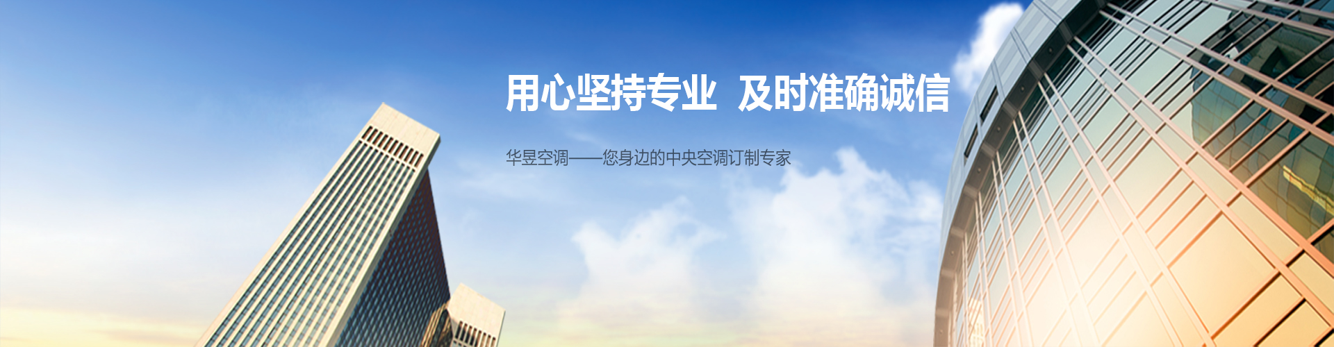 羊质虎皮网